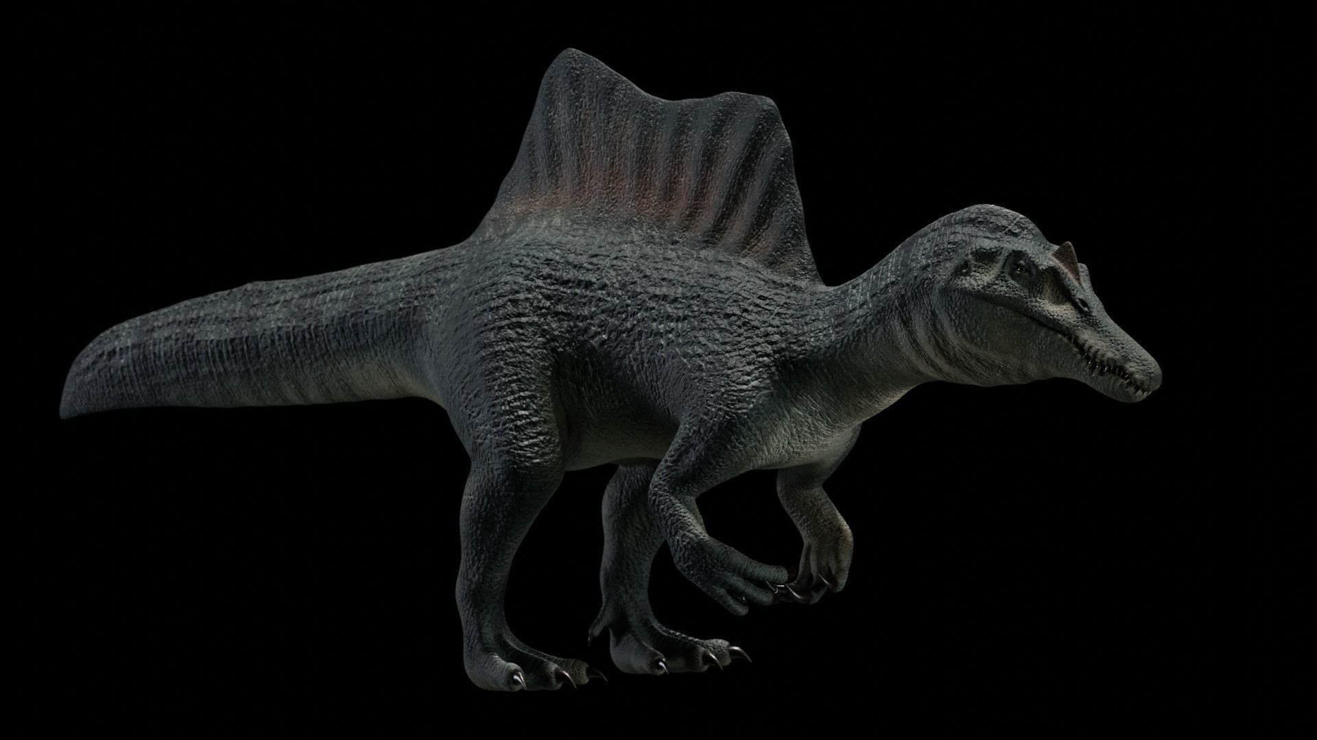 Spinosaurus Dinosaur Low-poly 3D model_9