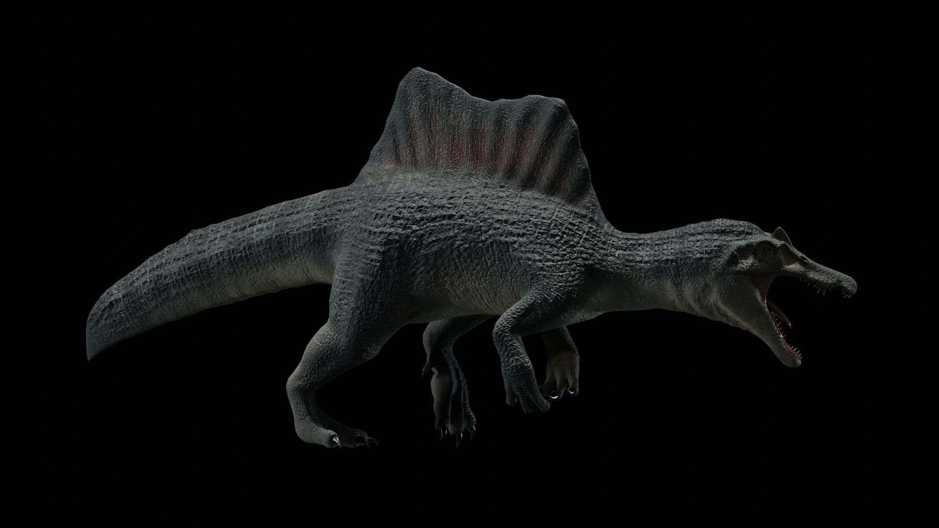 Spinosaurus Dinosaur Low-poly 3D model_15