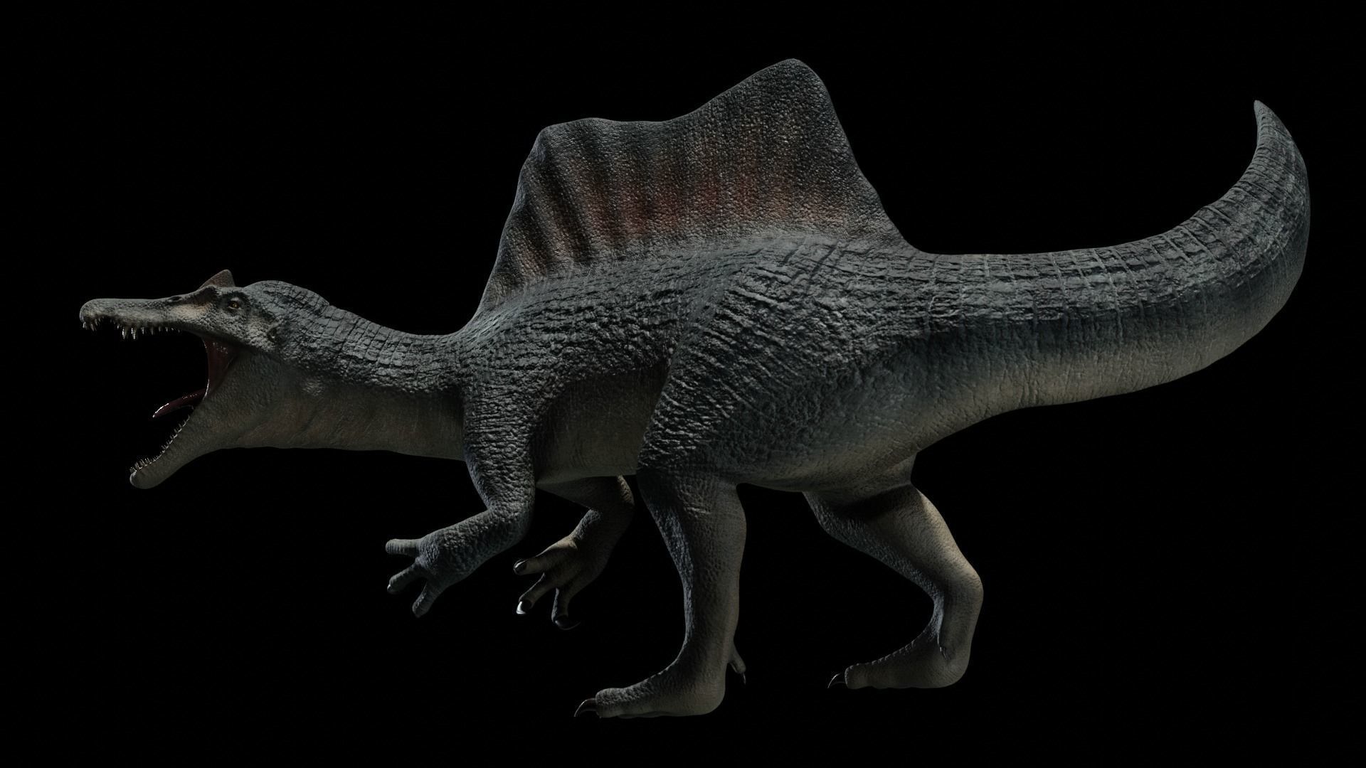 Spinosaurus Dinosaur Low-poly 3D model_12