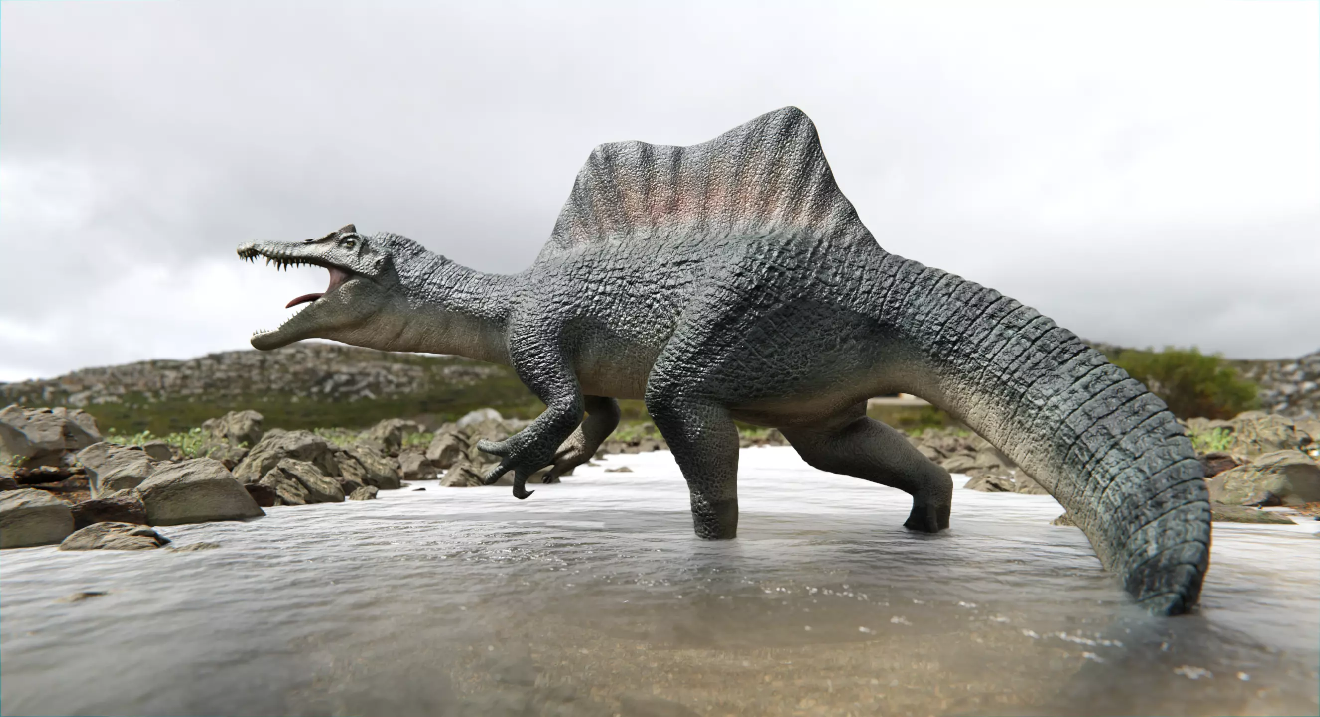 Spinosaurus Dinosaur Low-poly 3D model_0