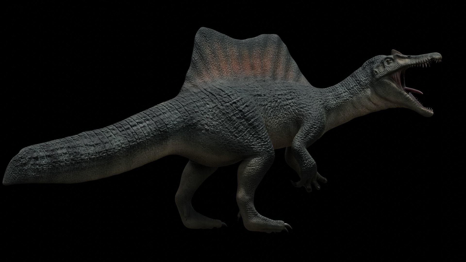 Spinosaurus Dinosaur Low-poly 3D model_45