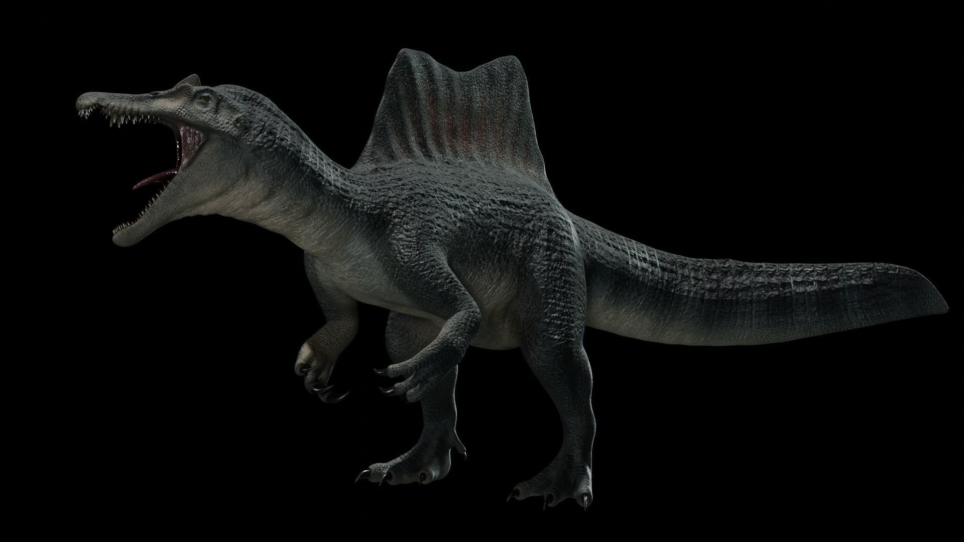 Spinosaurus Dinosaur Low-poly 3D model_35