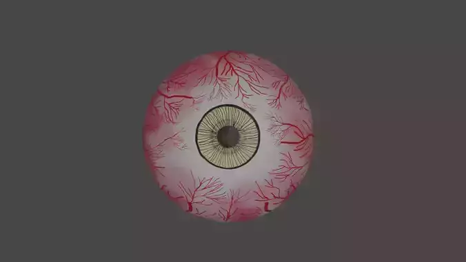 Realistic hazel eye