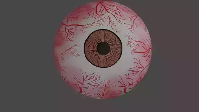 Realistic brown eye