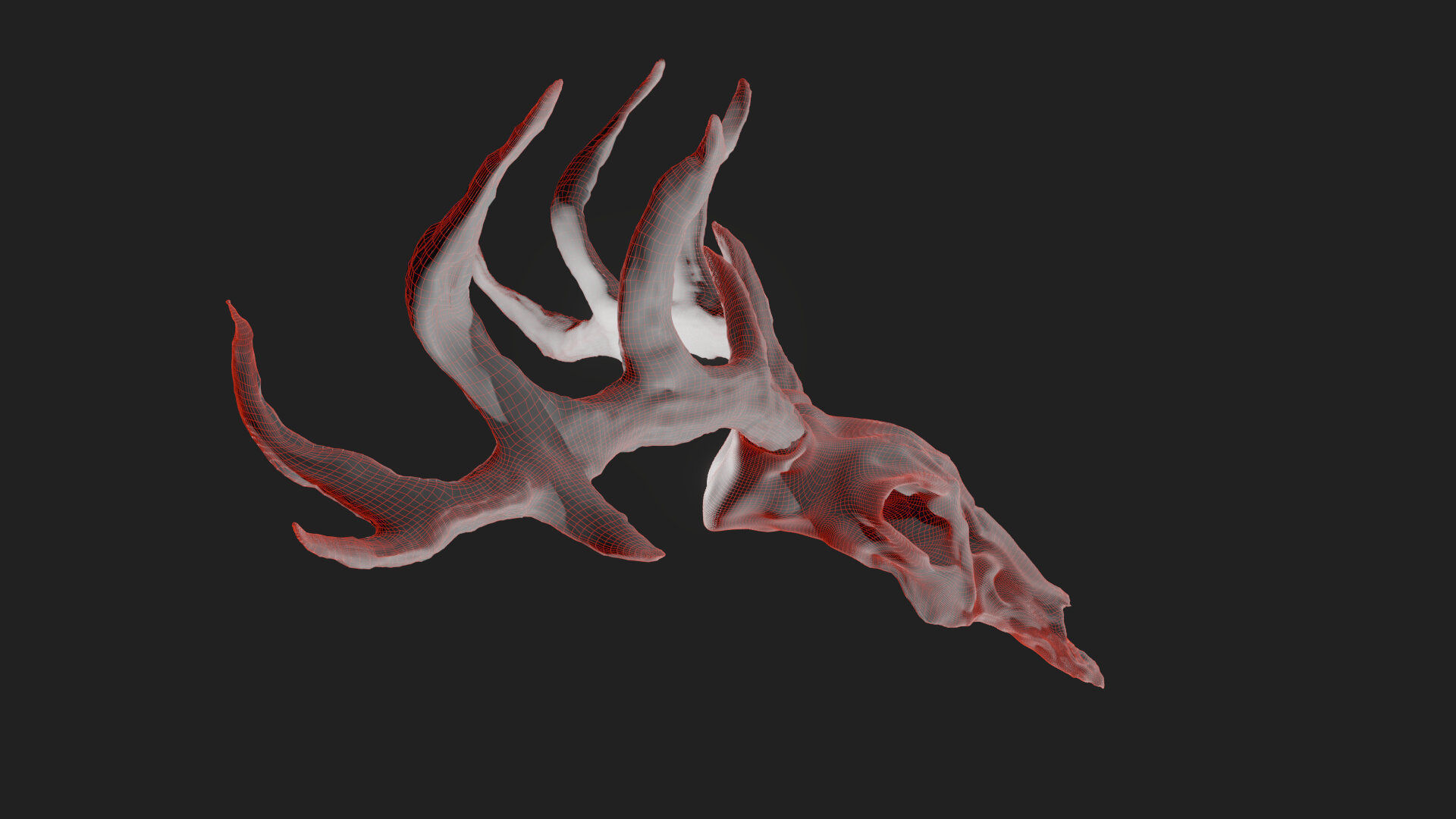 Deer skull with Antlers 3D model_16