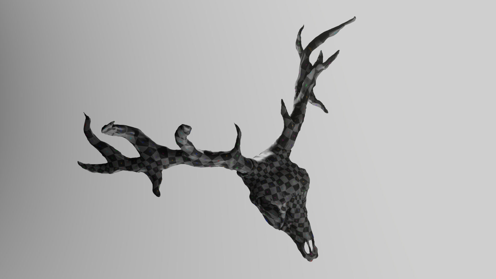 Deer skull with Antlers 3D model_13