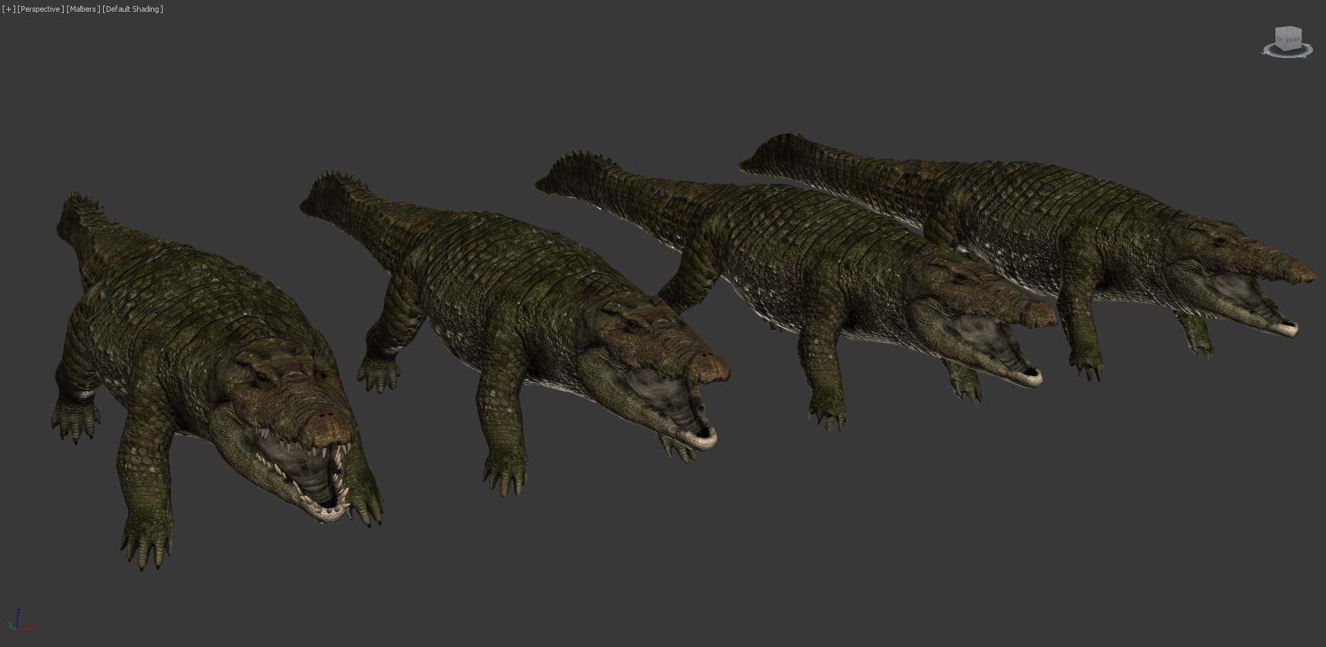 Realistic Crocodile - Alligator Low-poly 3D model_9