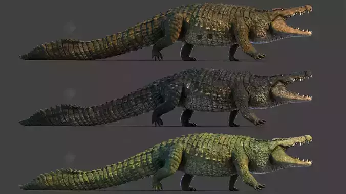 Realistic Crocodile - Alligator Low-poly 3D model