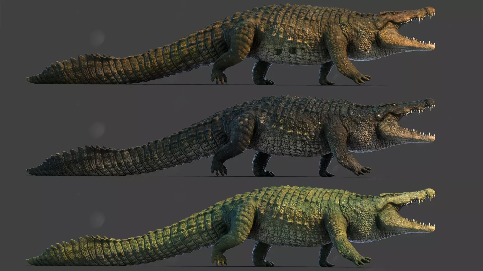 Realistic Crocodile - Alligator Low-poly 3D model_0