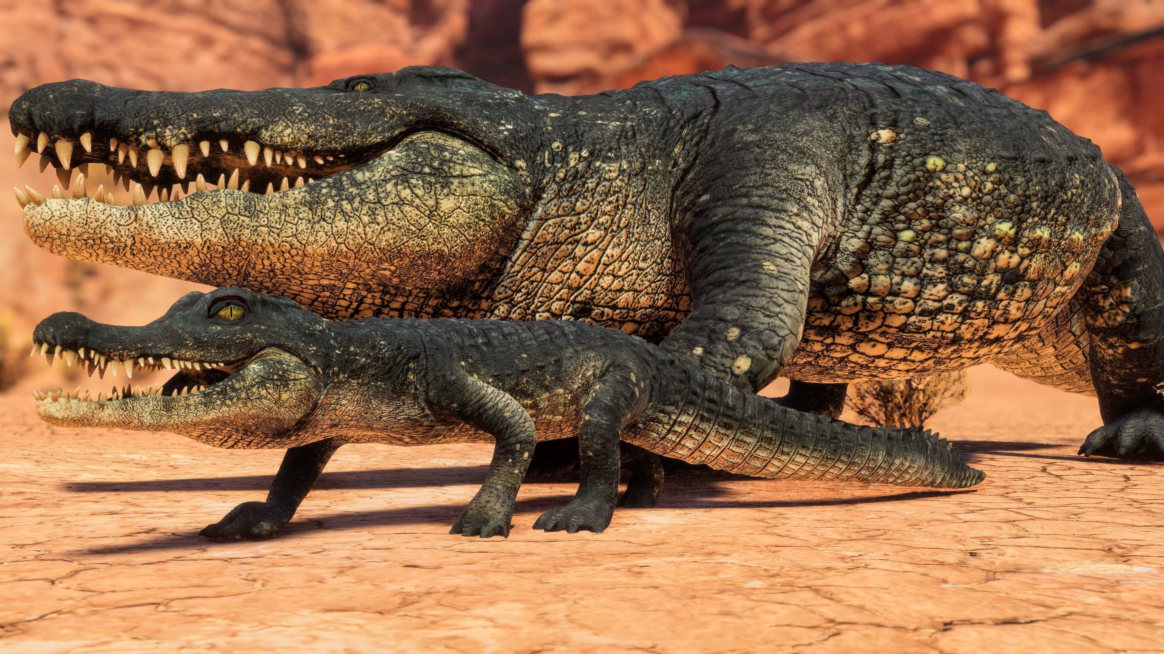 Realistic Crocodile - Alligator Low-poly 3D model_4