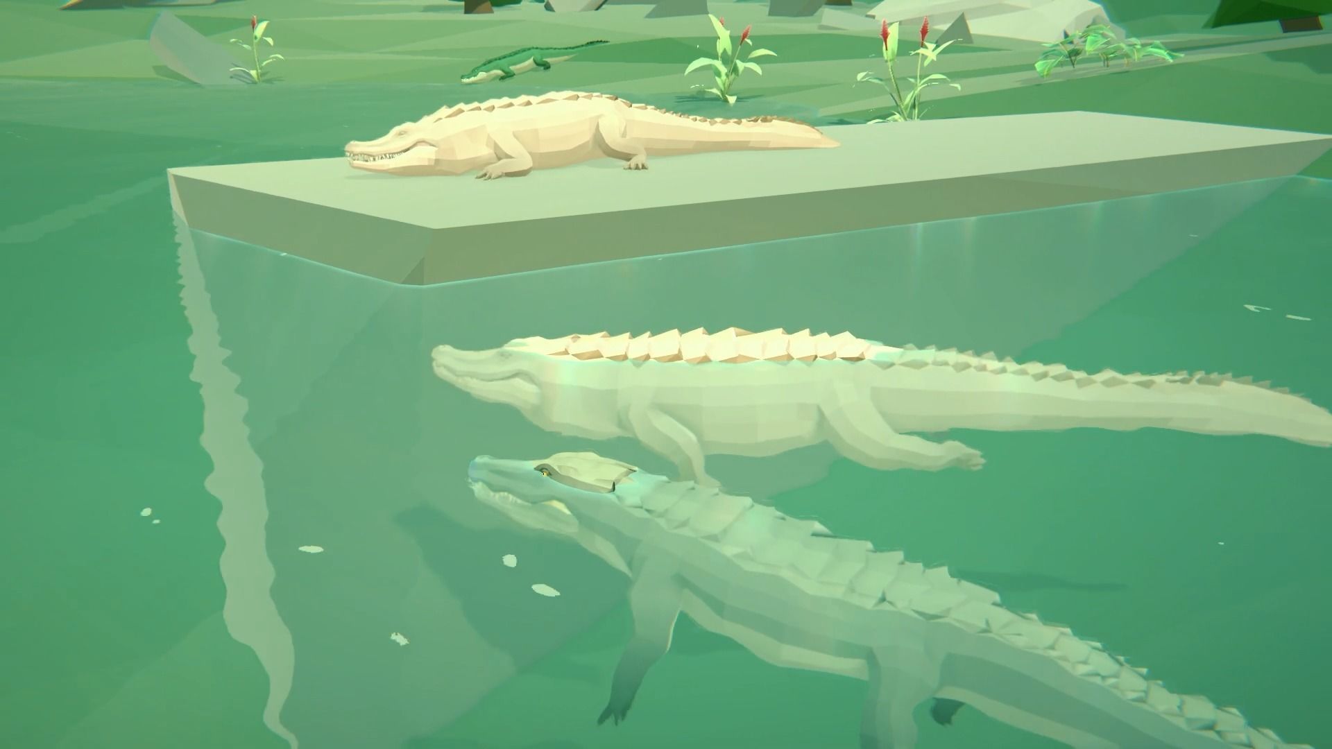 Realistic Crocodile - Alligator Low-poly 3D model_26