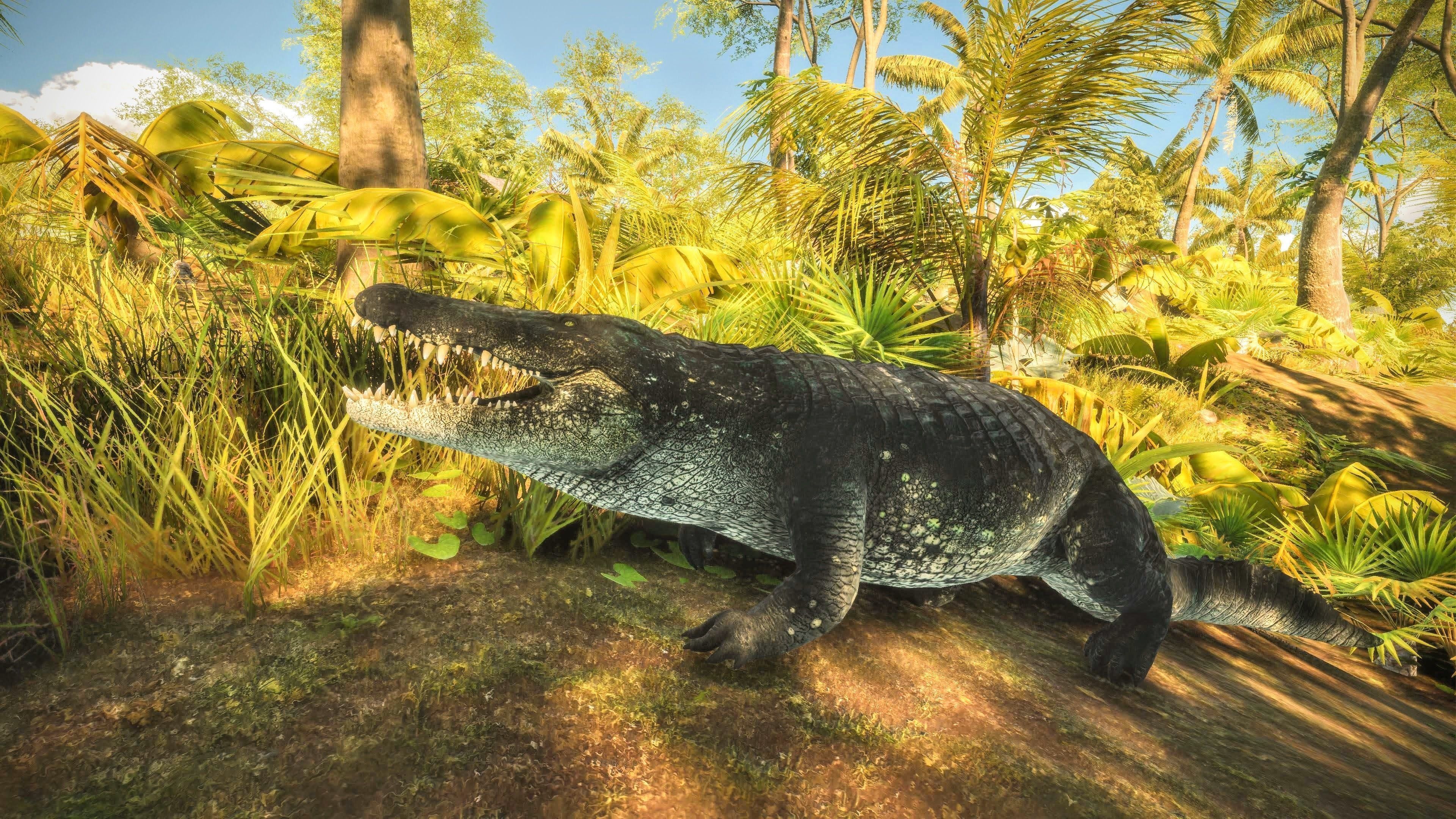 Realistic Crocodile - Alligator Low-poly 3D model_19