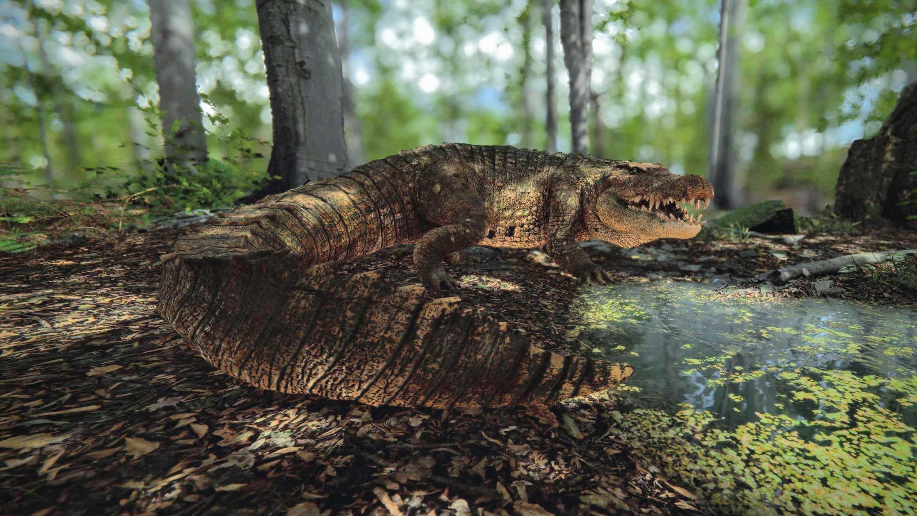 Realistic Crocodile - Alligator Low-poly 3D model_13