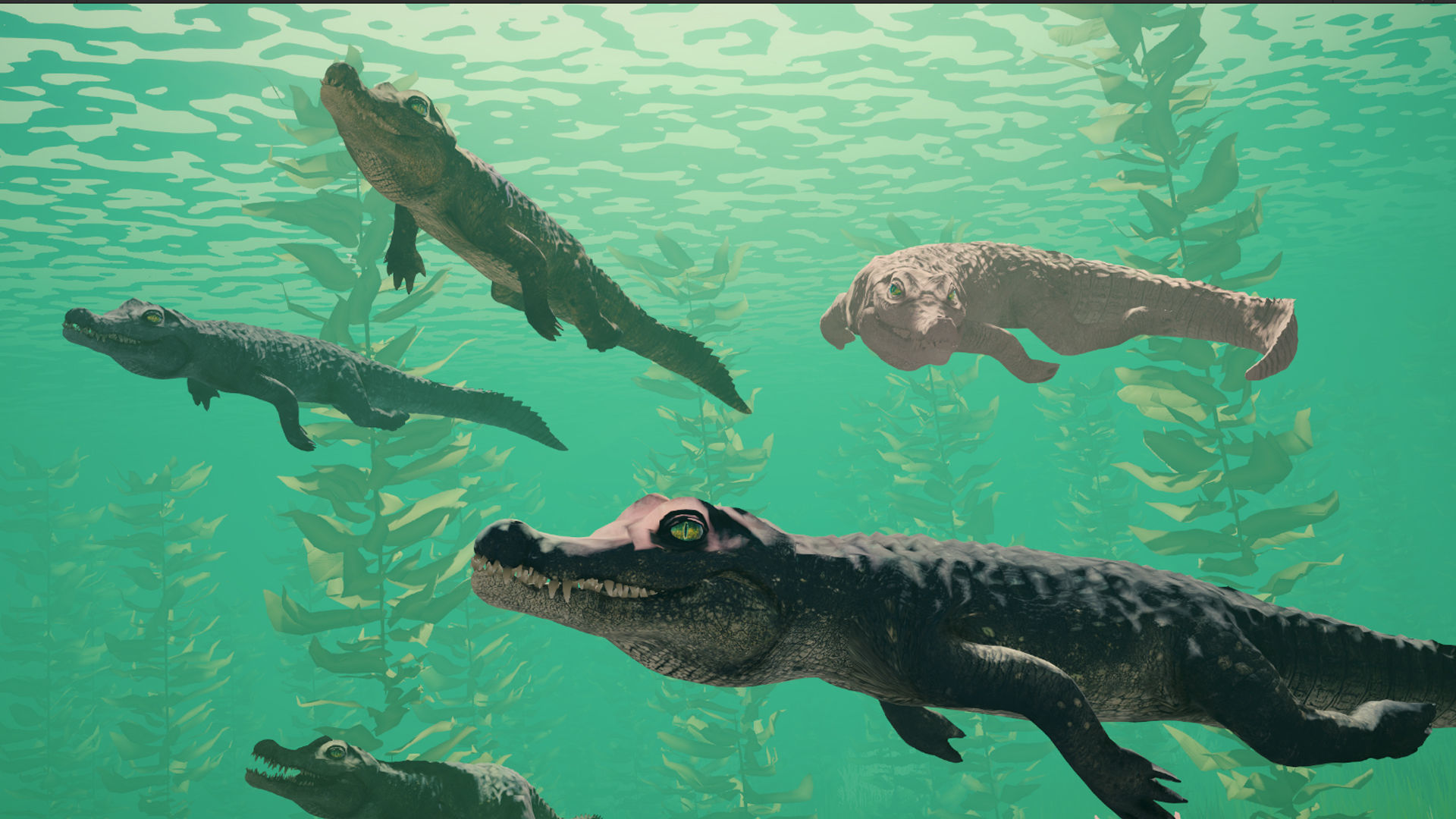 Realistic Crocodile - Alligator Low-poly 3D model_16