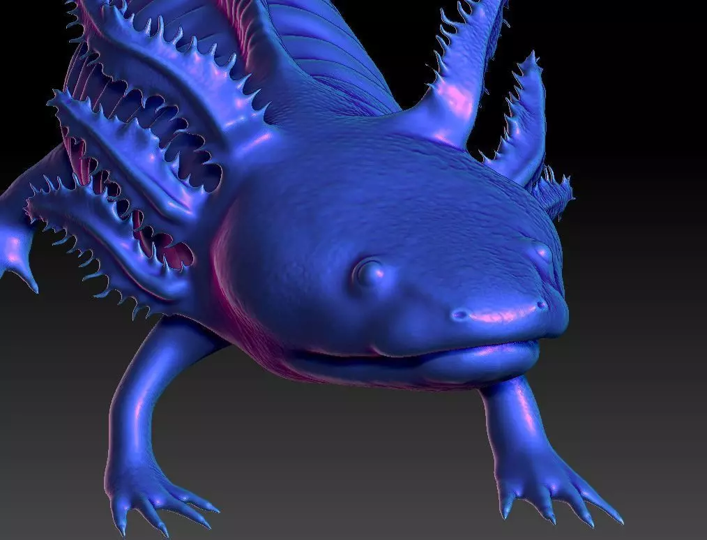 Axolotl 3D print model_0