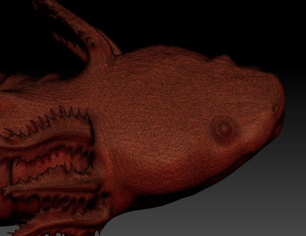 Axolotl 3D print model_8