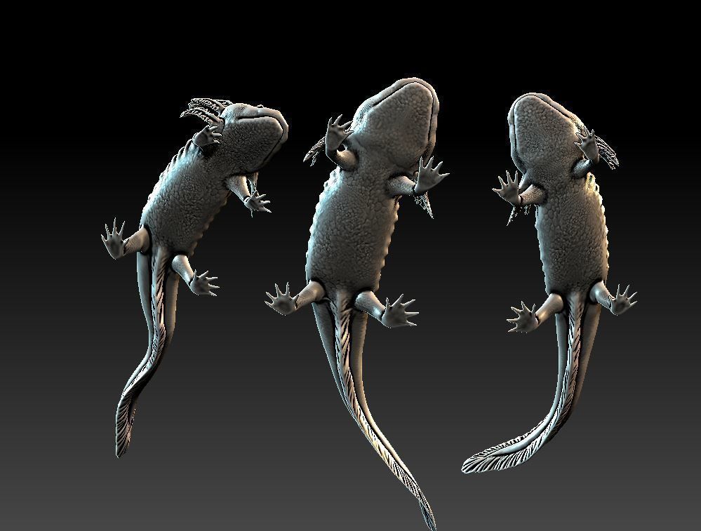 Axolotl 3D print model_6