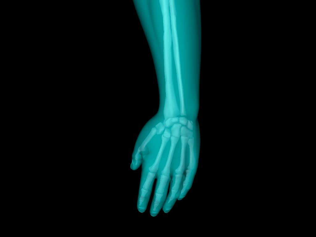 X Ray Hand Medically Accurate 3d Model 3D model_47