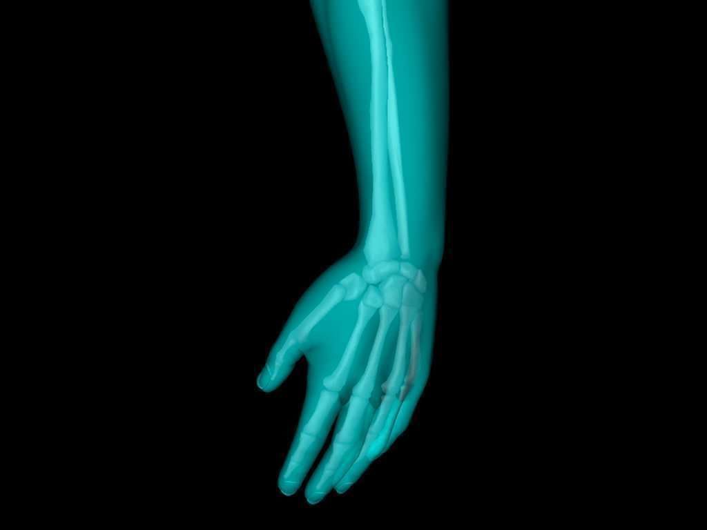 X Ray Hand Medically Accurate 3d Model 3D model_1