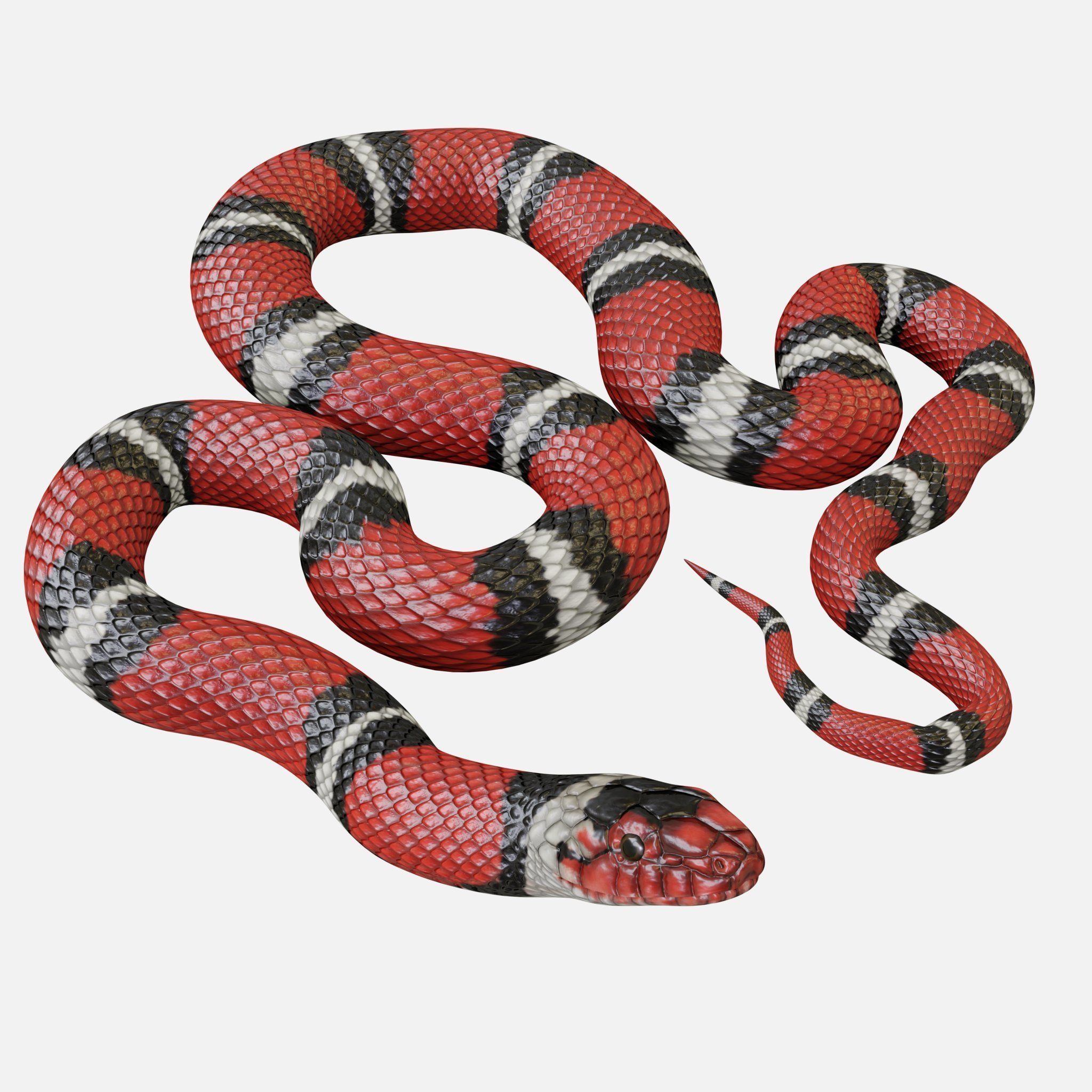 snake necklace 3D model_2