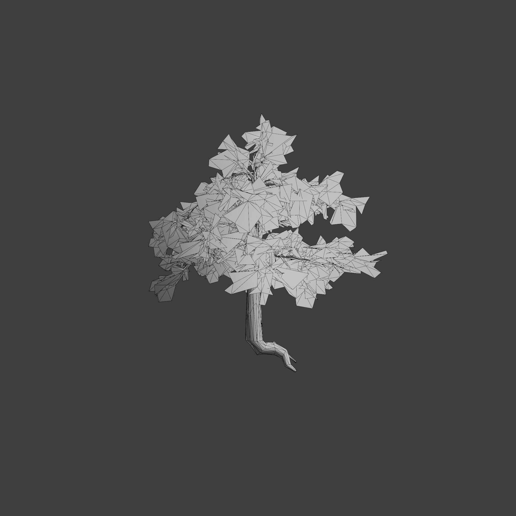 Pinyon Pine 3 Low-poly 3D model_11
