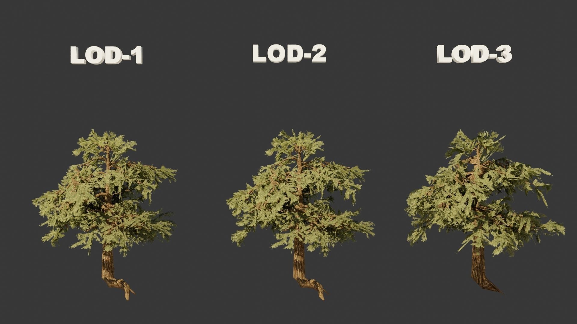 Pinyon Pine 3 Low-poly 3D model_7