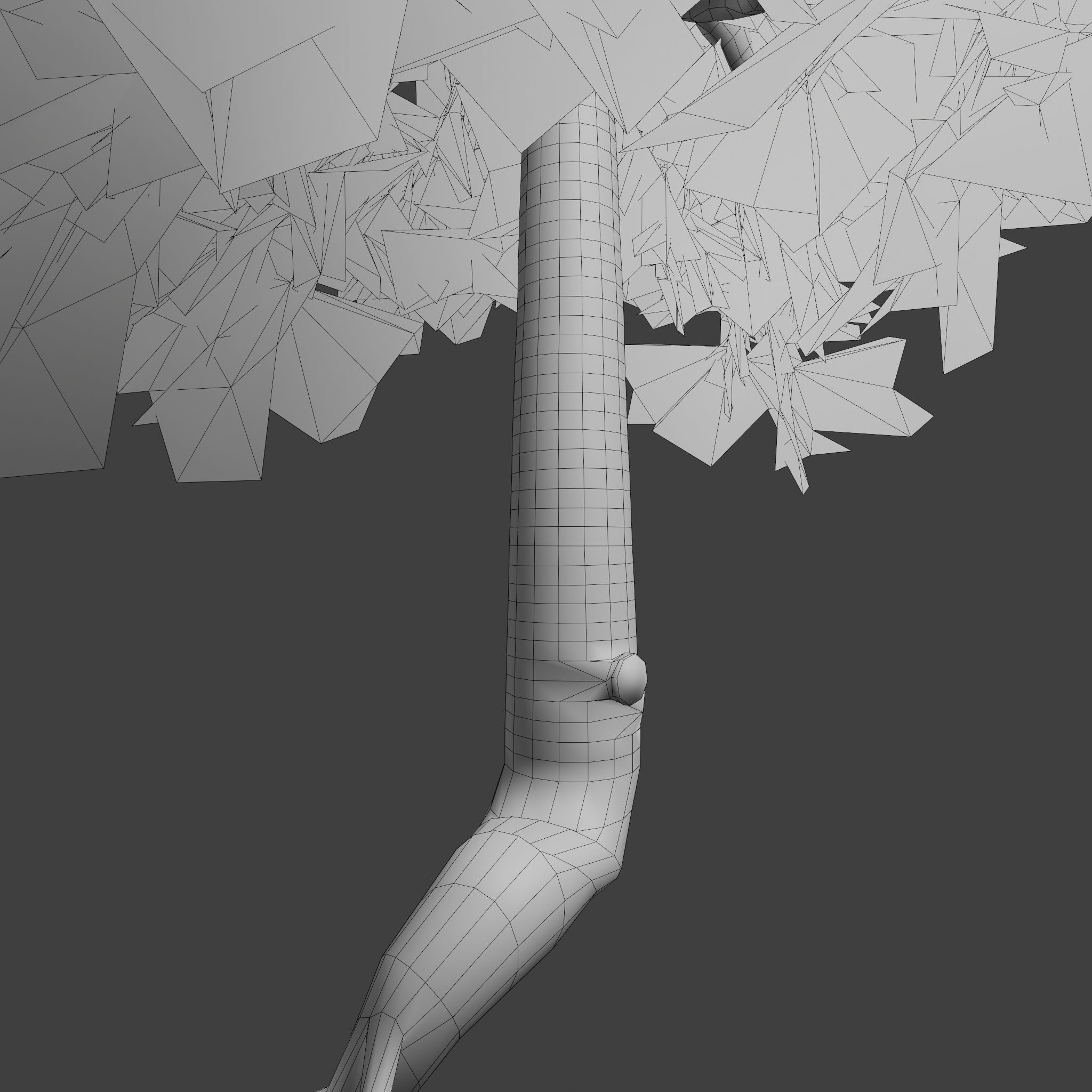 Pinyon Pine 3 Low-poly 3D model_9