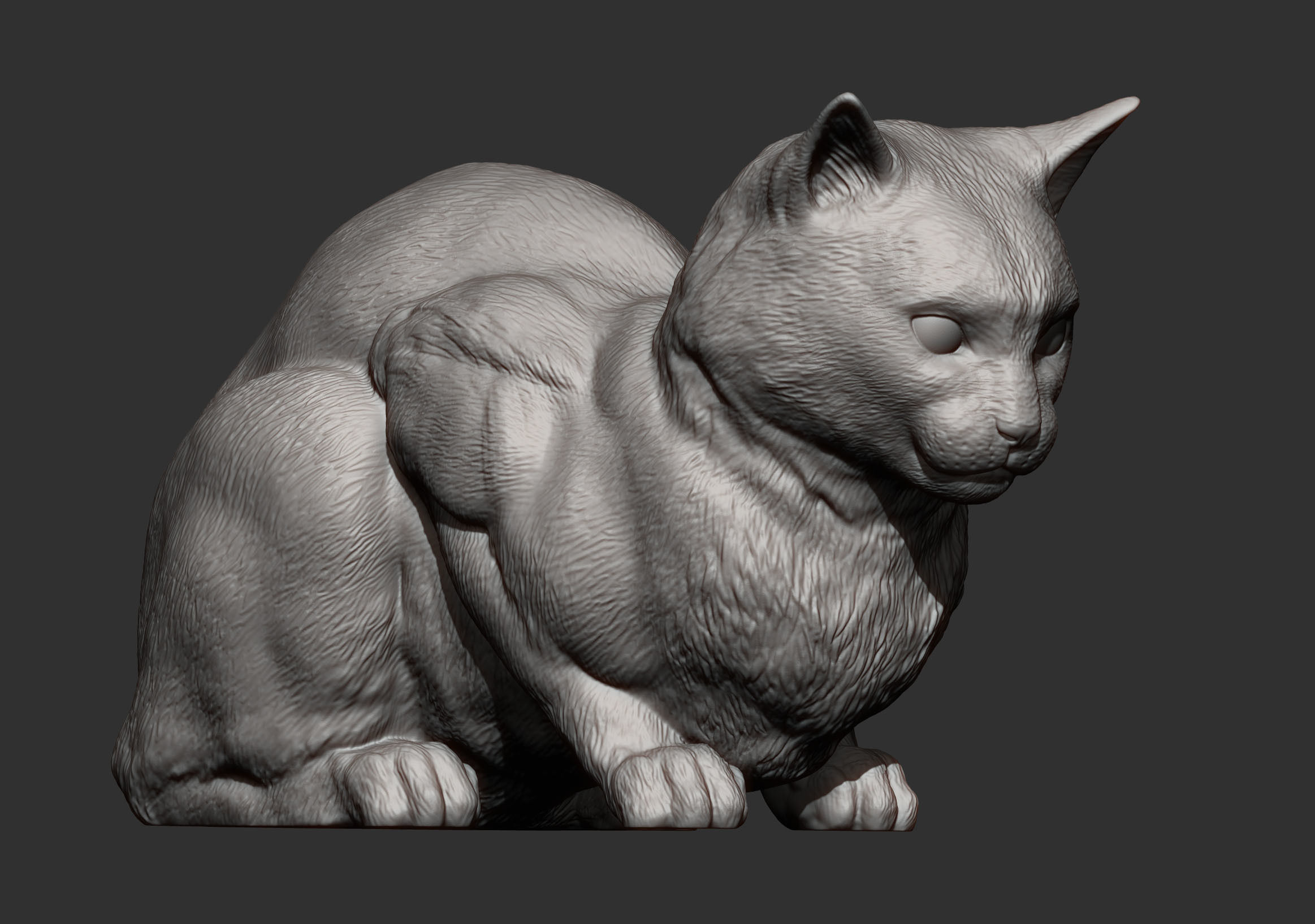 Cat for 3d printing 3D print model 3D print model_3