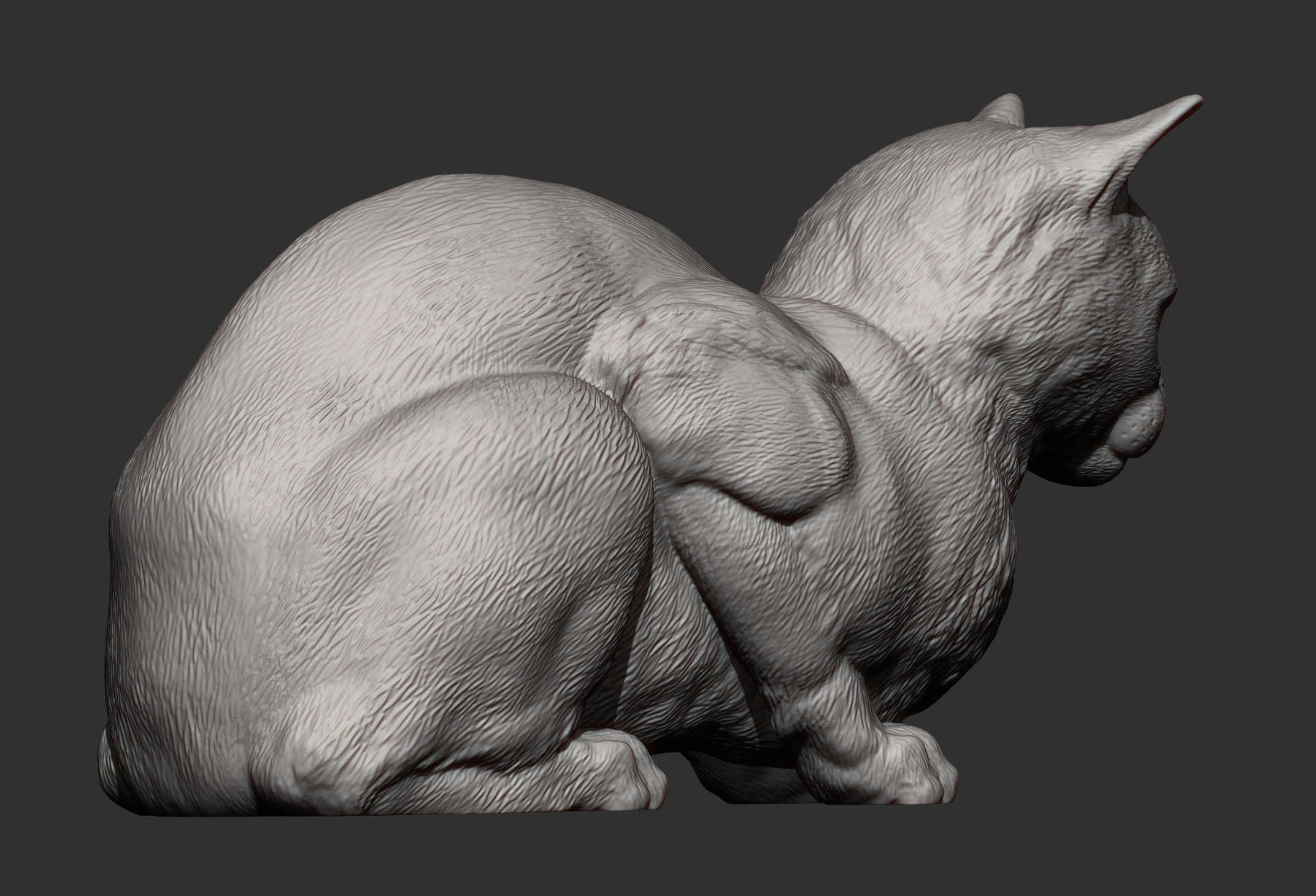 Cat for 3d printing 3D print model 3D print model_6