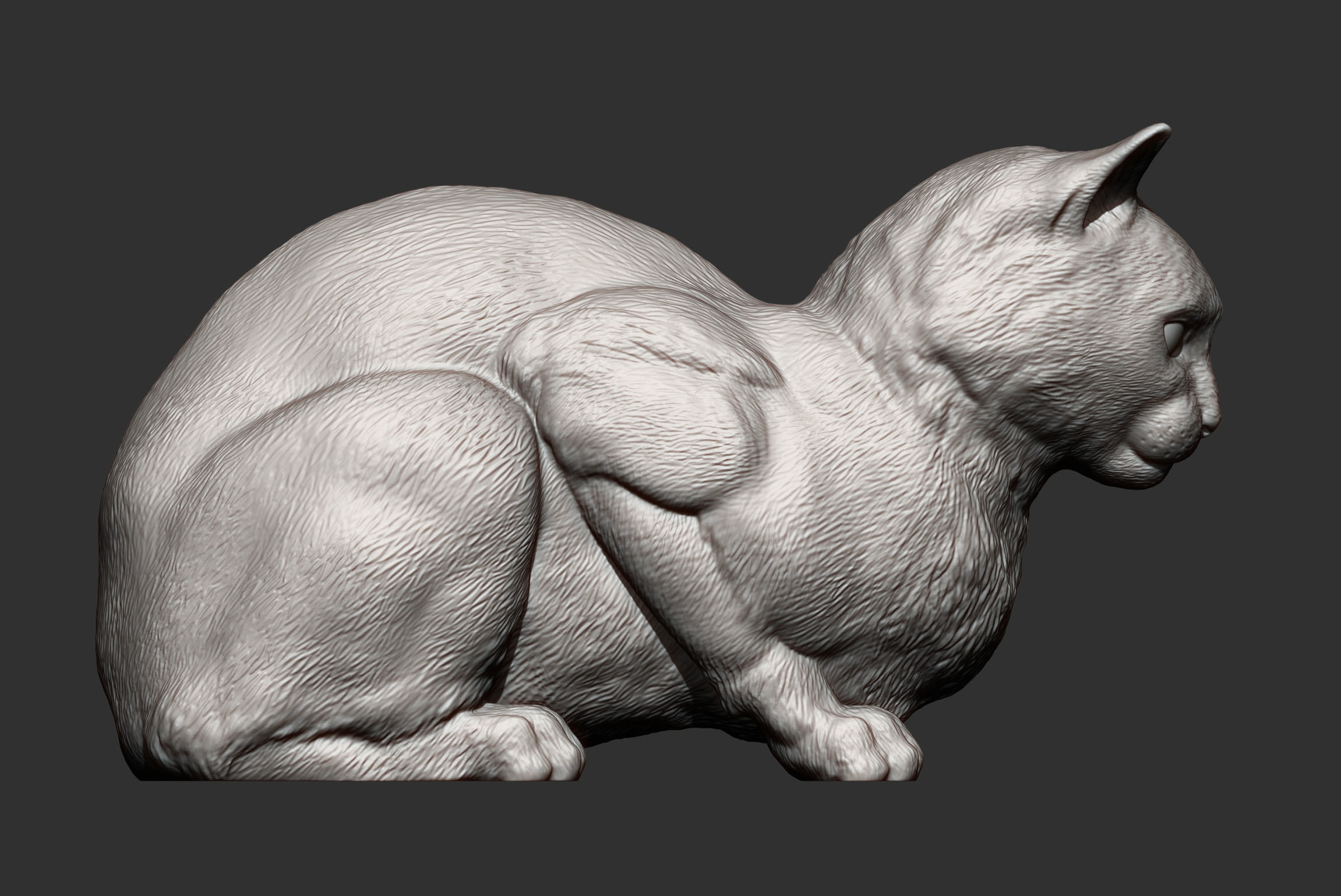 Cat for 3d printing 3D print model 3D print model_8