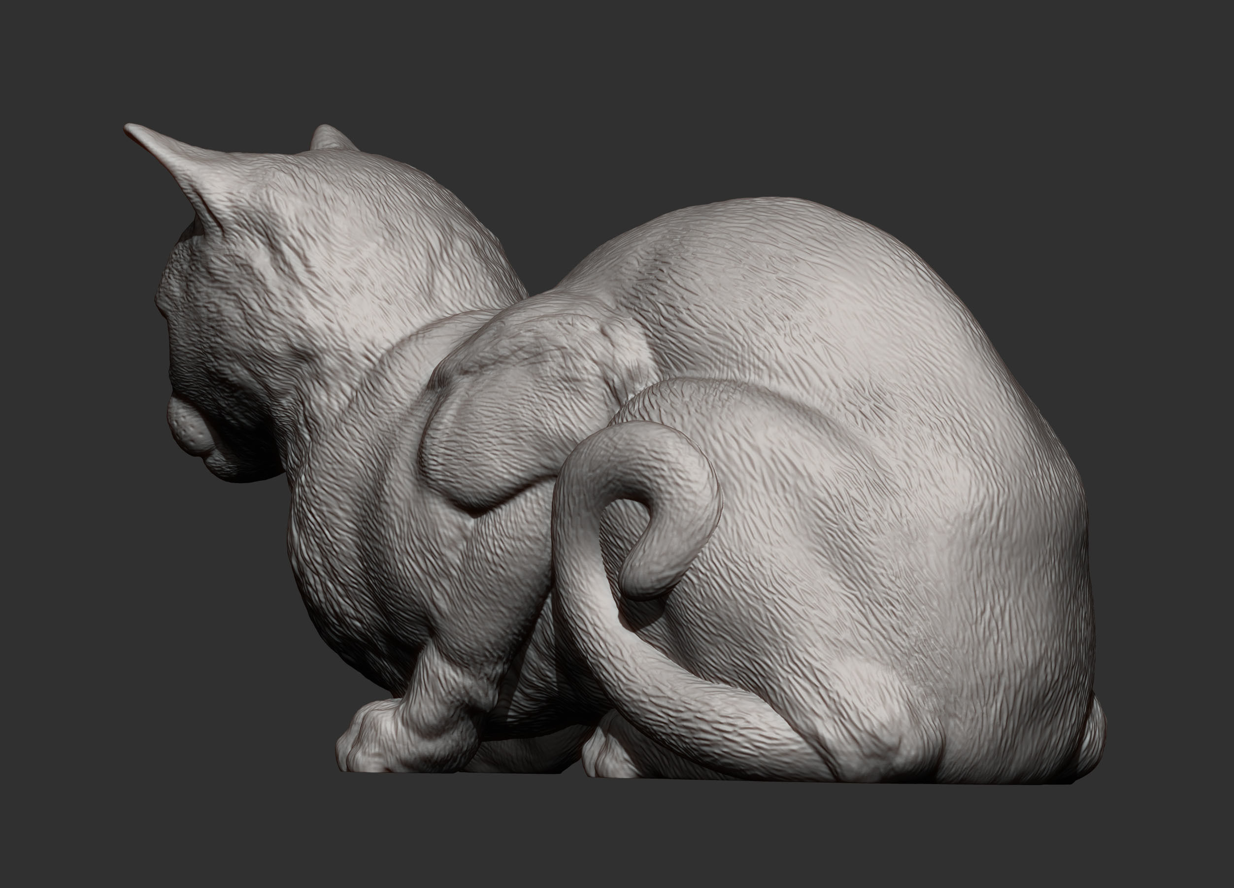 Cat for 3d printing 3D print model 3D print model_5