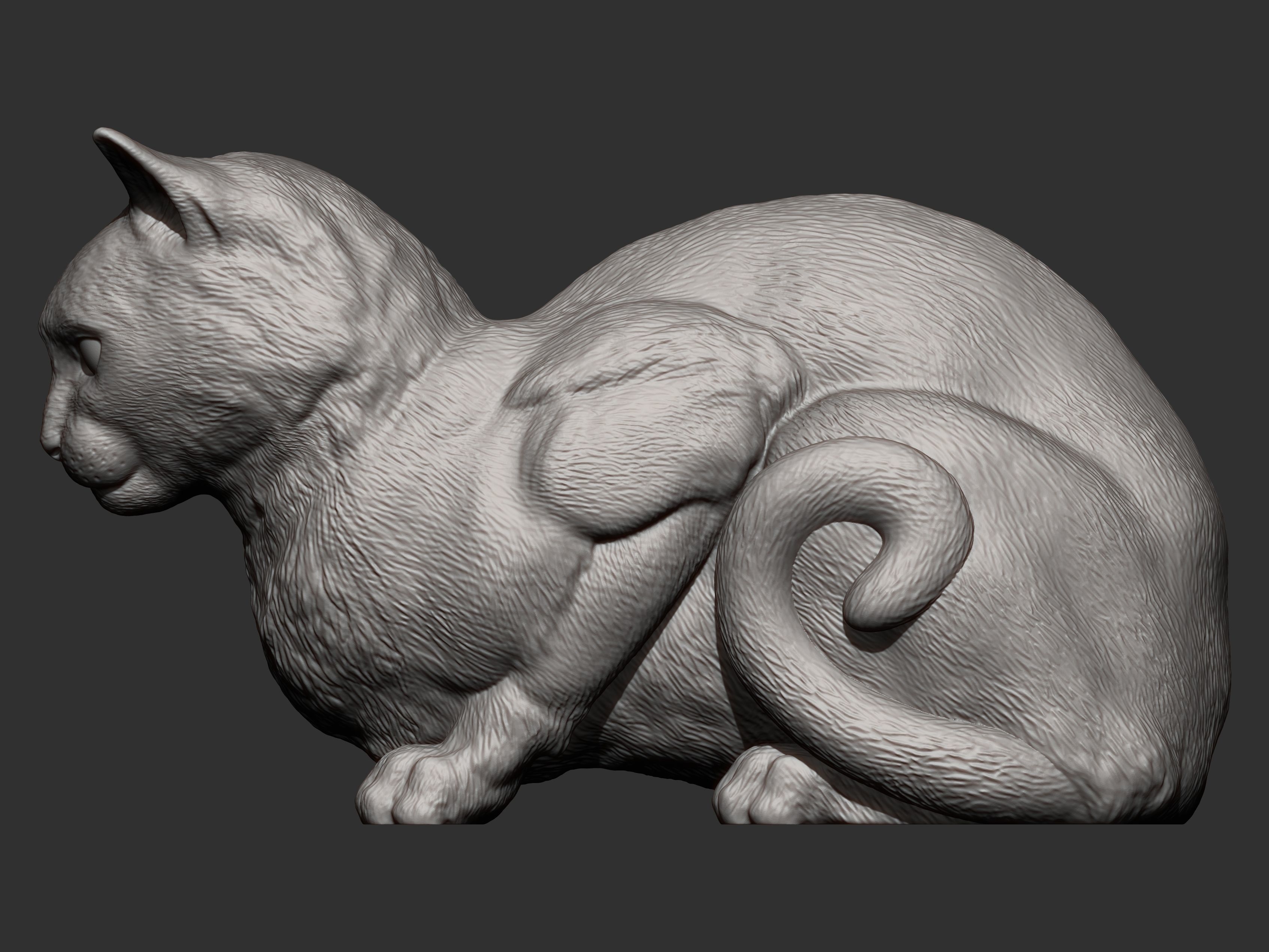 Cat for 3d printing 3D print model 3D print model_4