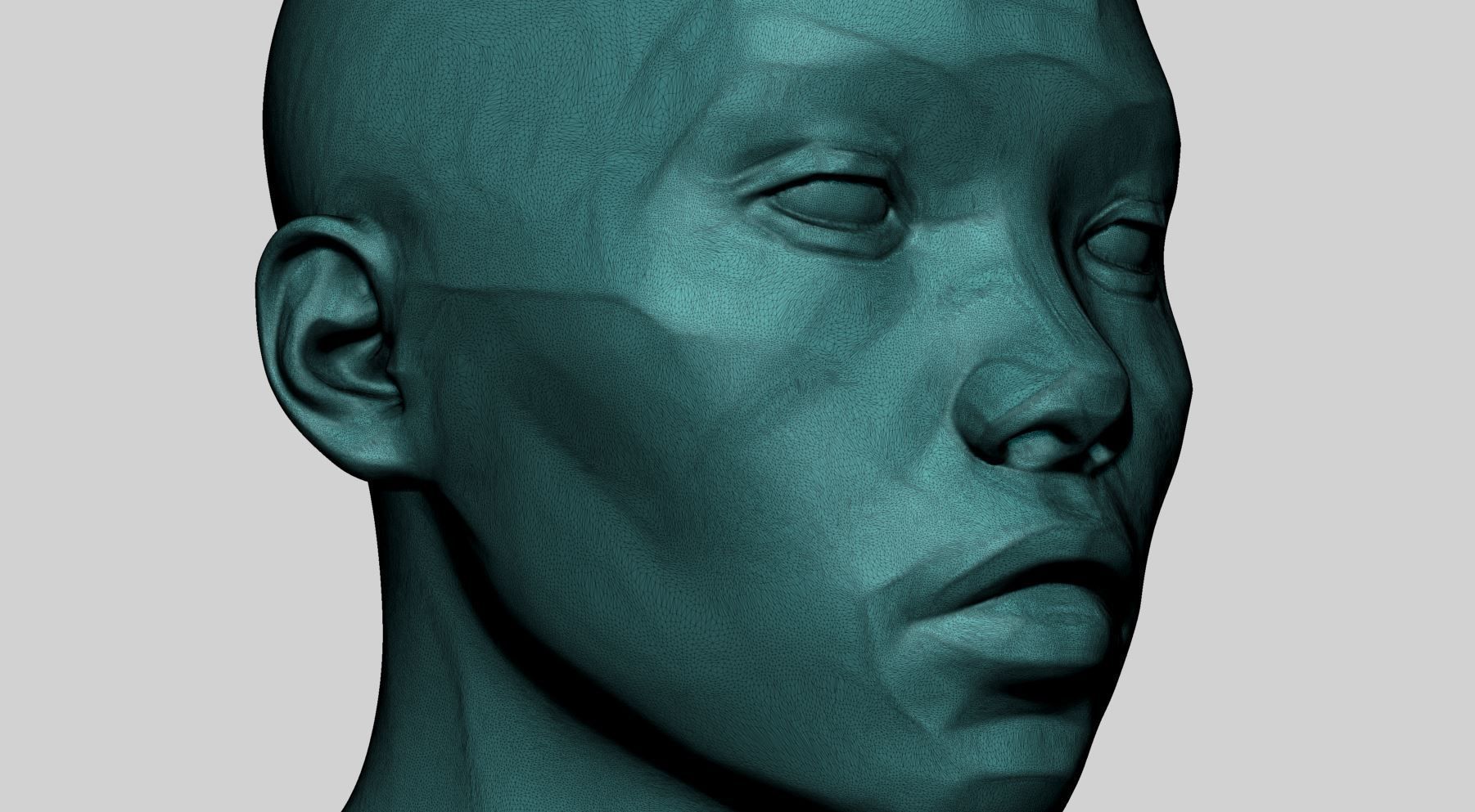 Female Head Planes 3D print model_10