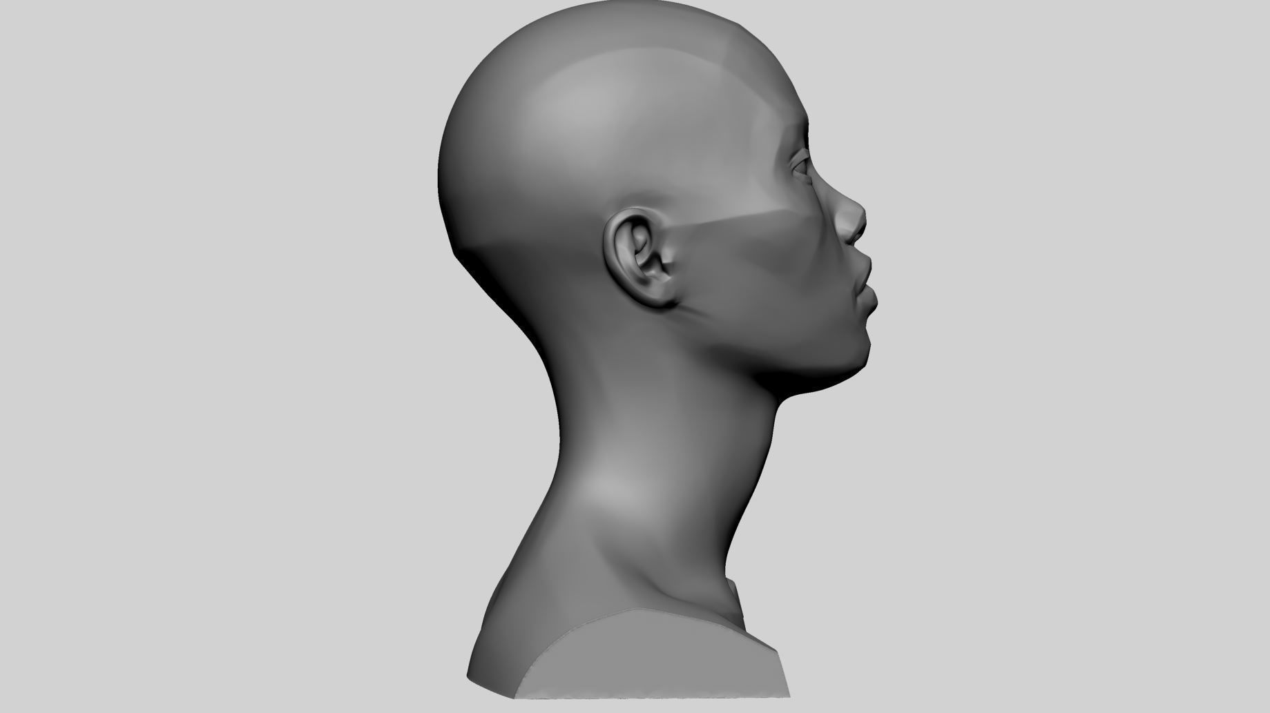 Female Head Planes 3D print model_3