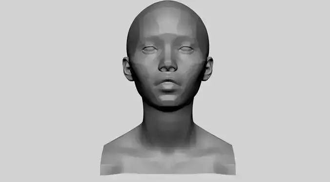 Female Head Planes 3D print model