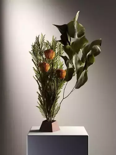 Ikebana 2 arrangement of plants