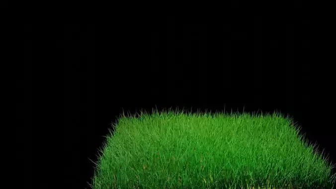 3D Grass Model square of
