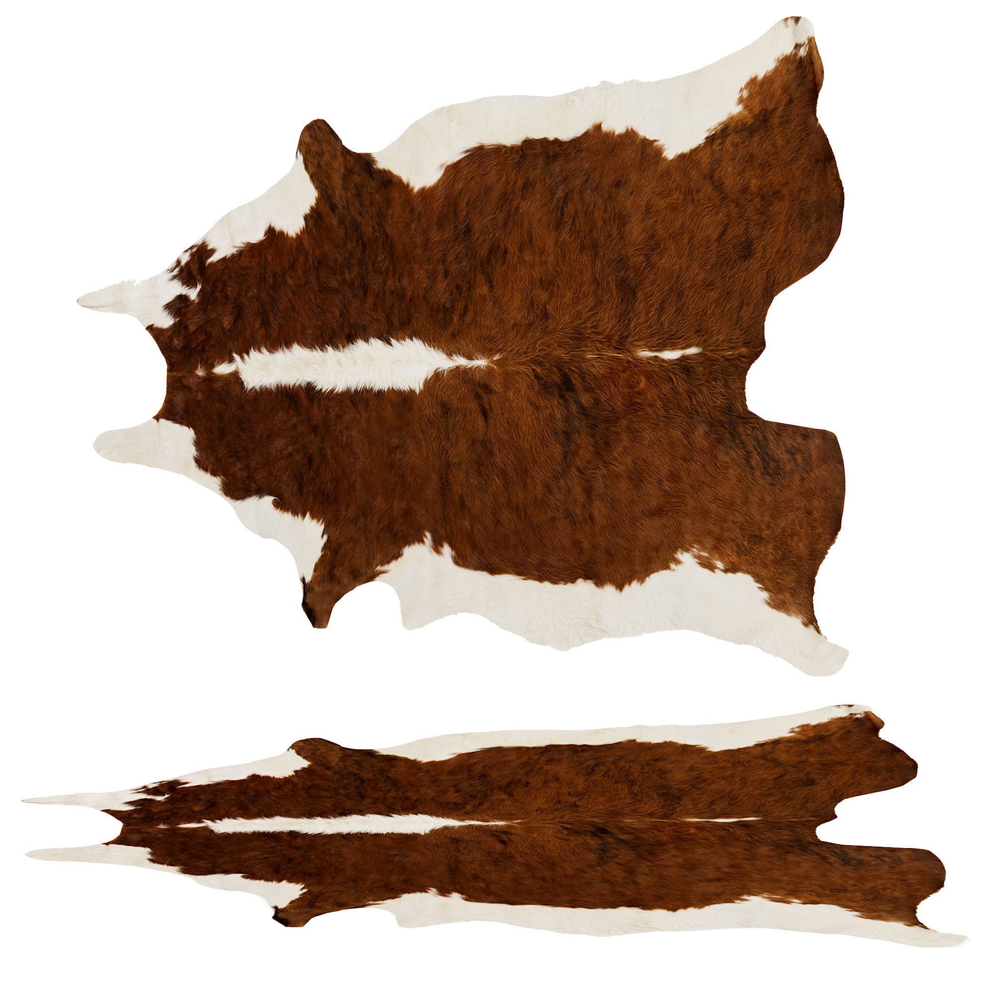 Animal skin rug 3D model_1