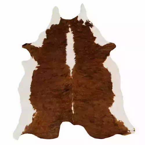 Animal skin rug