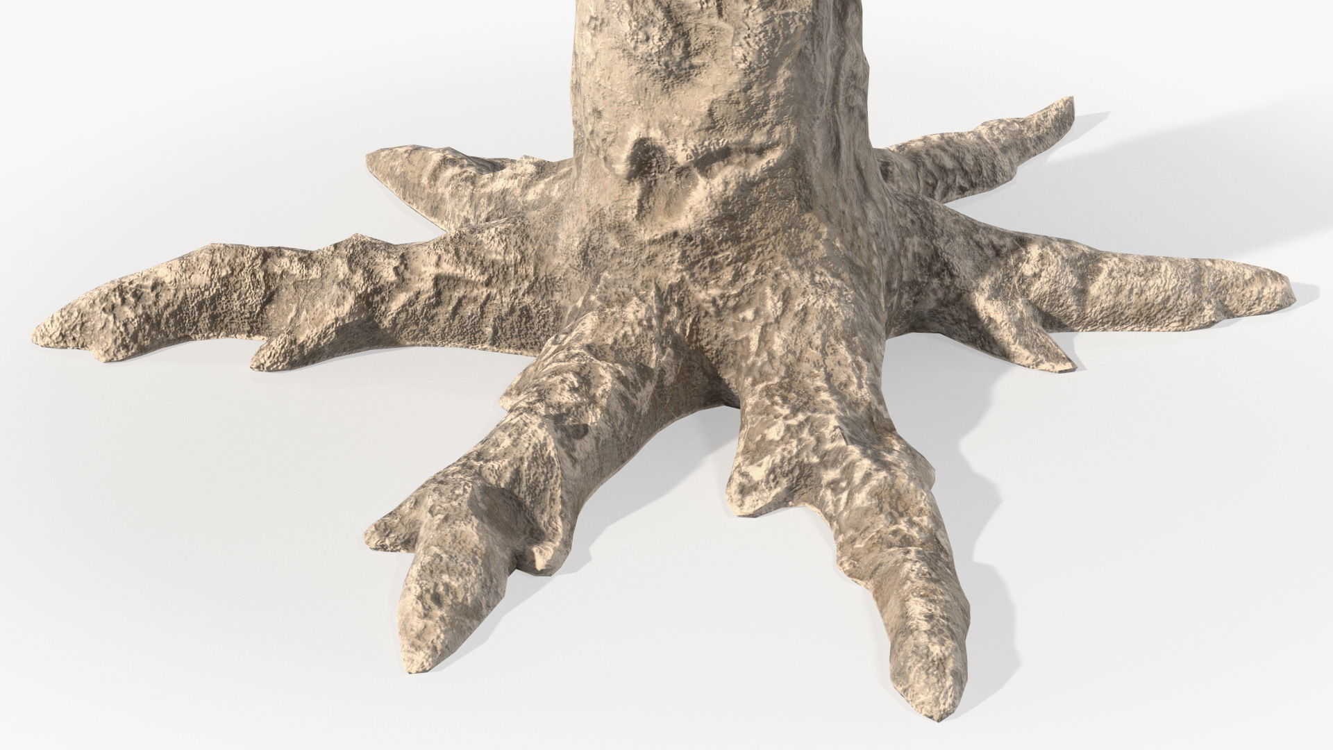 Dragon Blood Big Tree 3D model_16