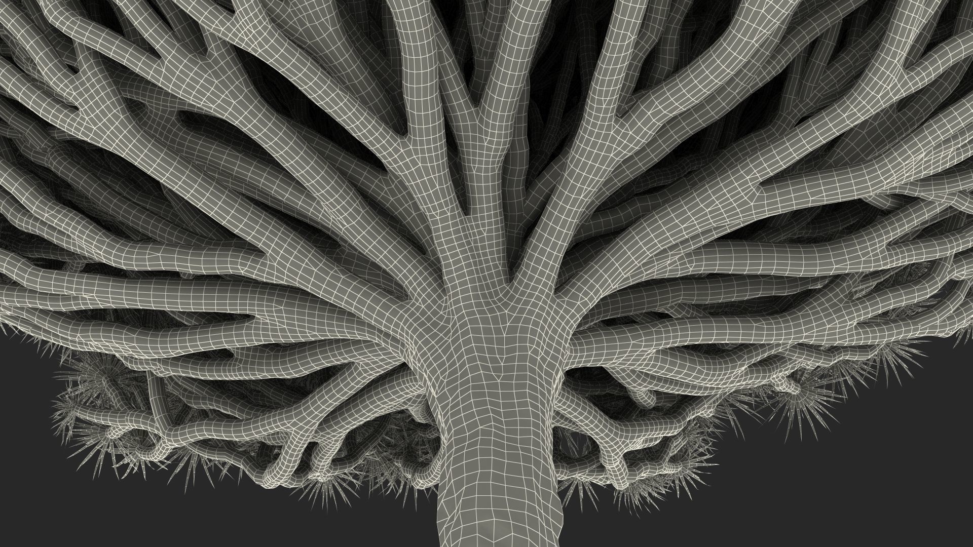 Dragon Blood Big Tree 3D model_23