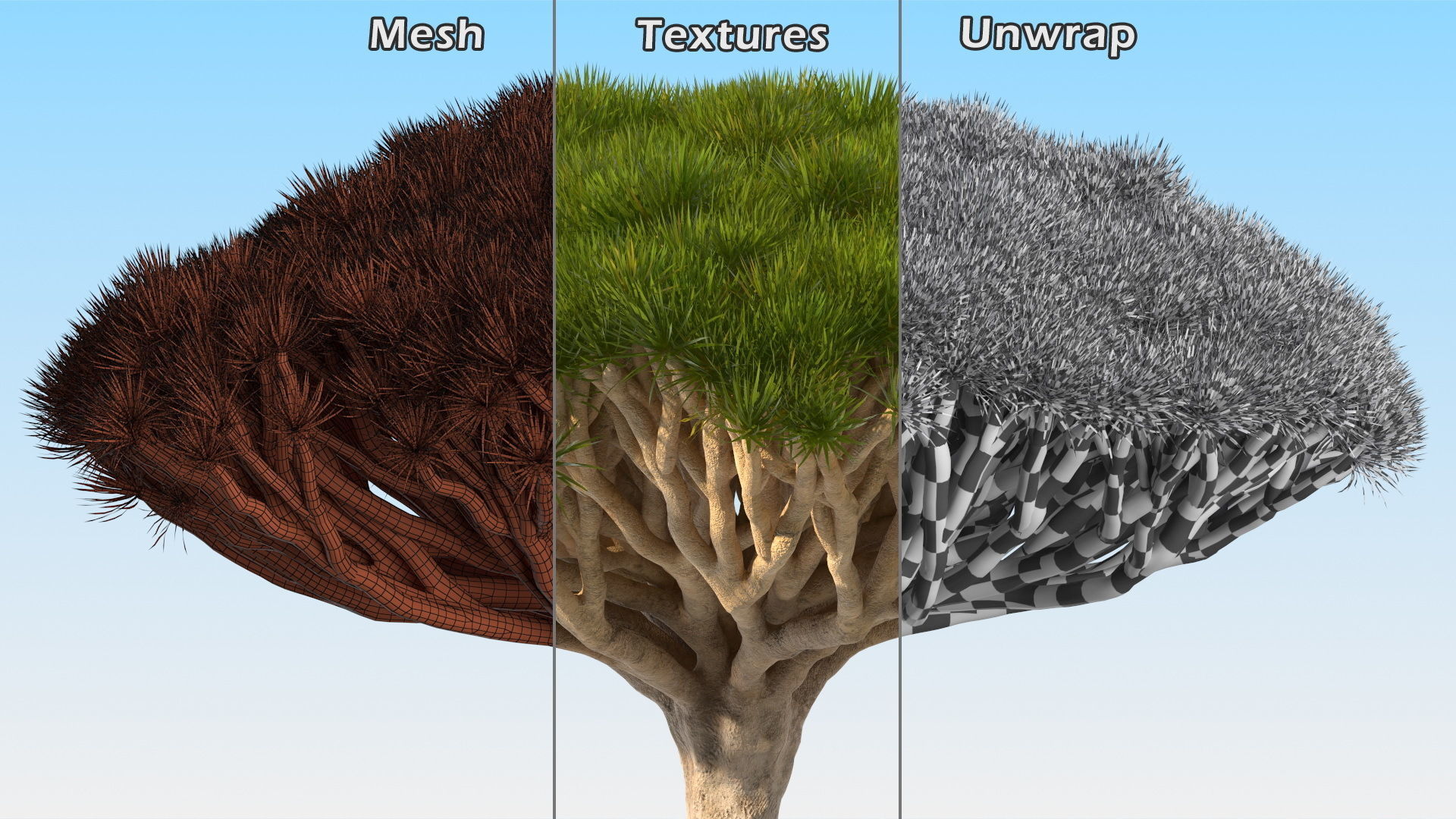 Dragon Blood Big Tree 3D model_17