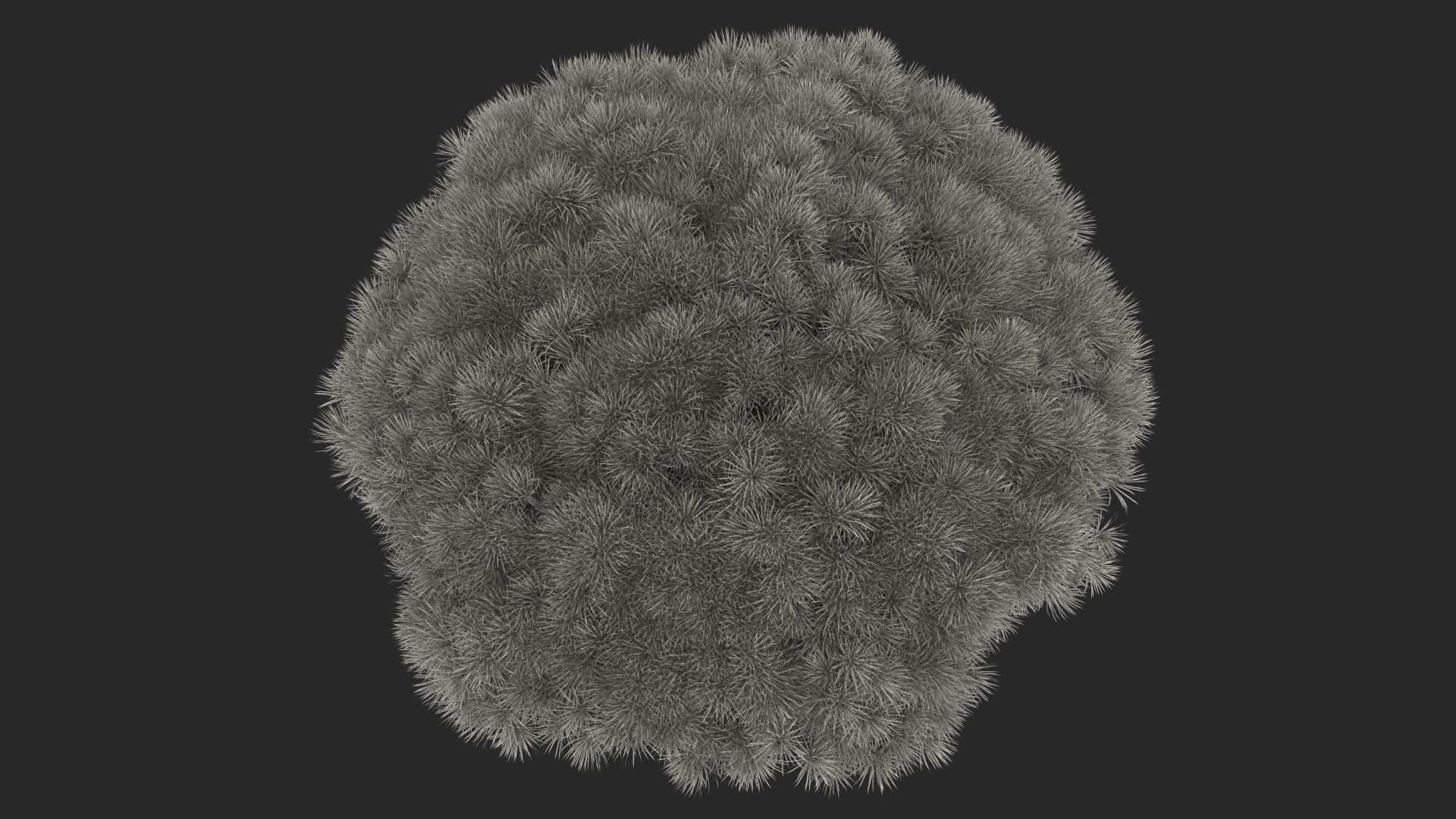 Dragon Blood Big Tree 3D model_21