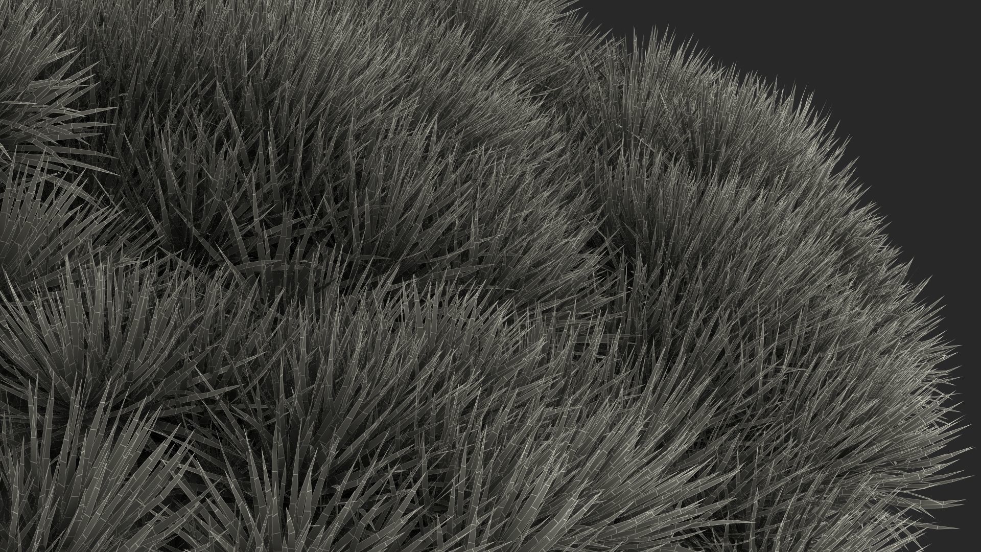 Dragon Blood Big Tree 3D model_22