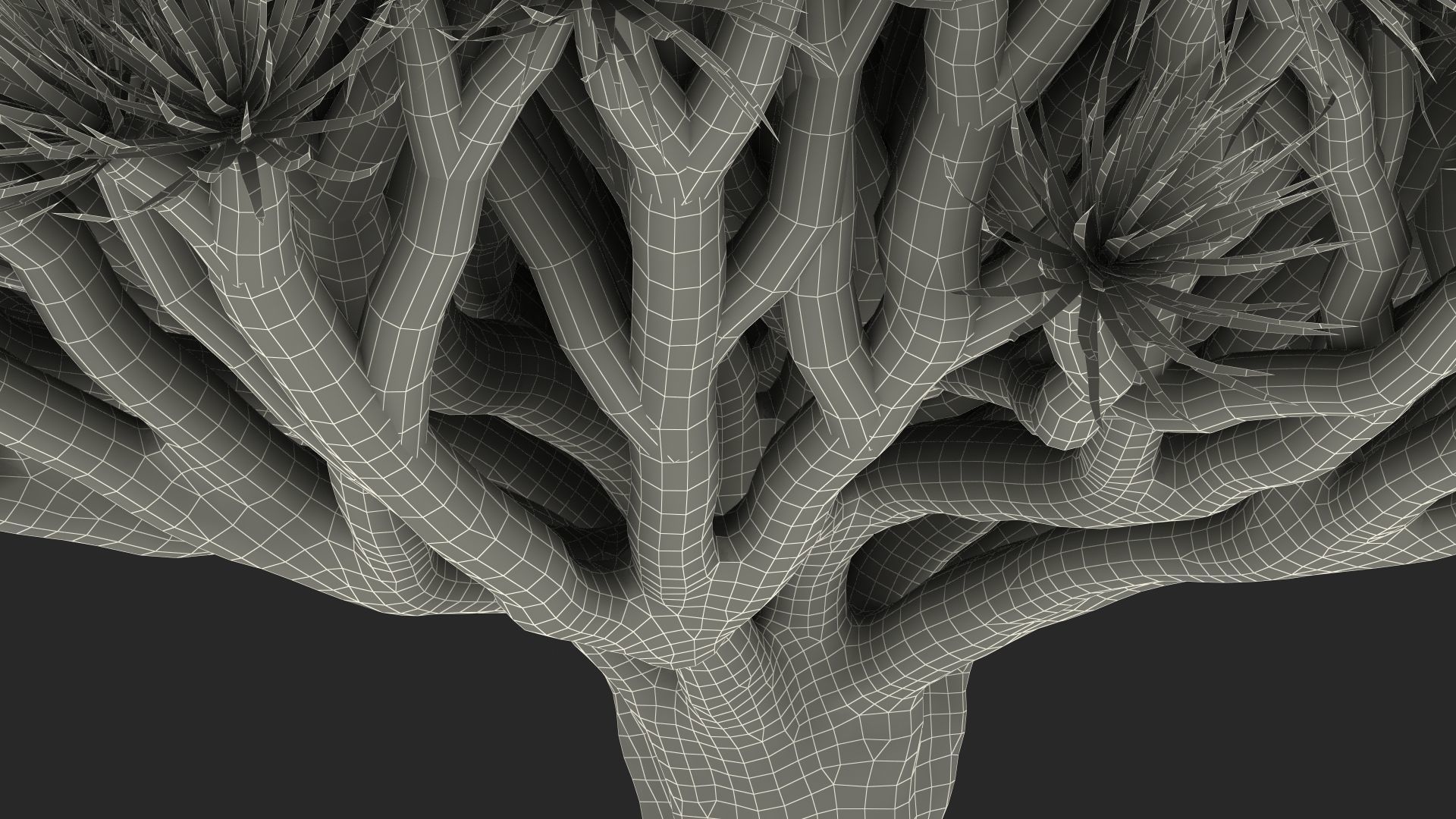 Dragon Blood Big Tree 3D model_24