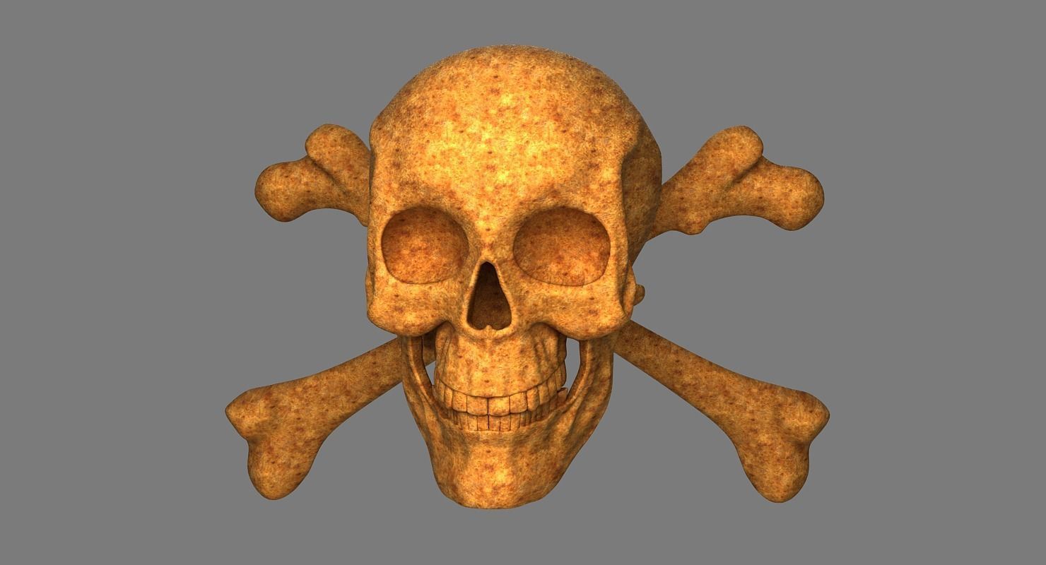 Skull and Bones 3D model_10