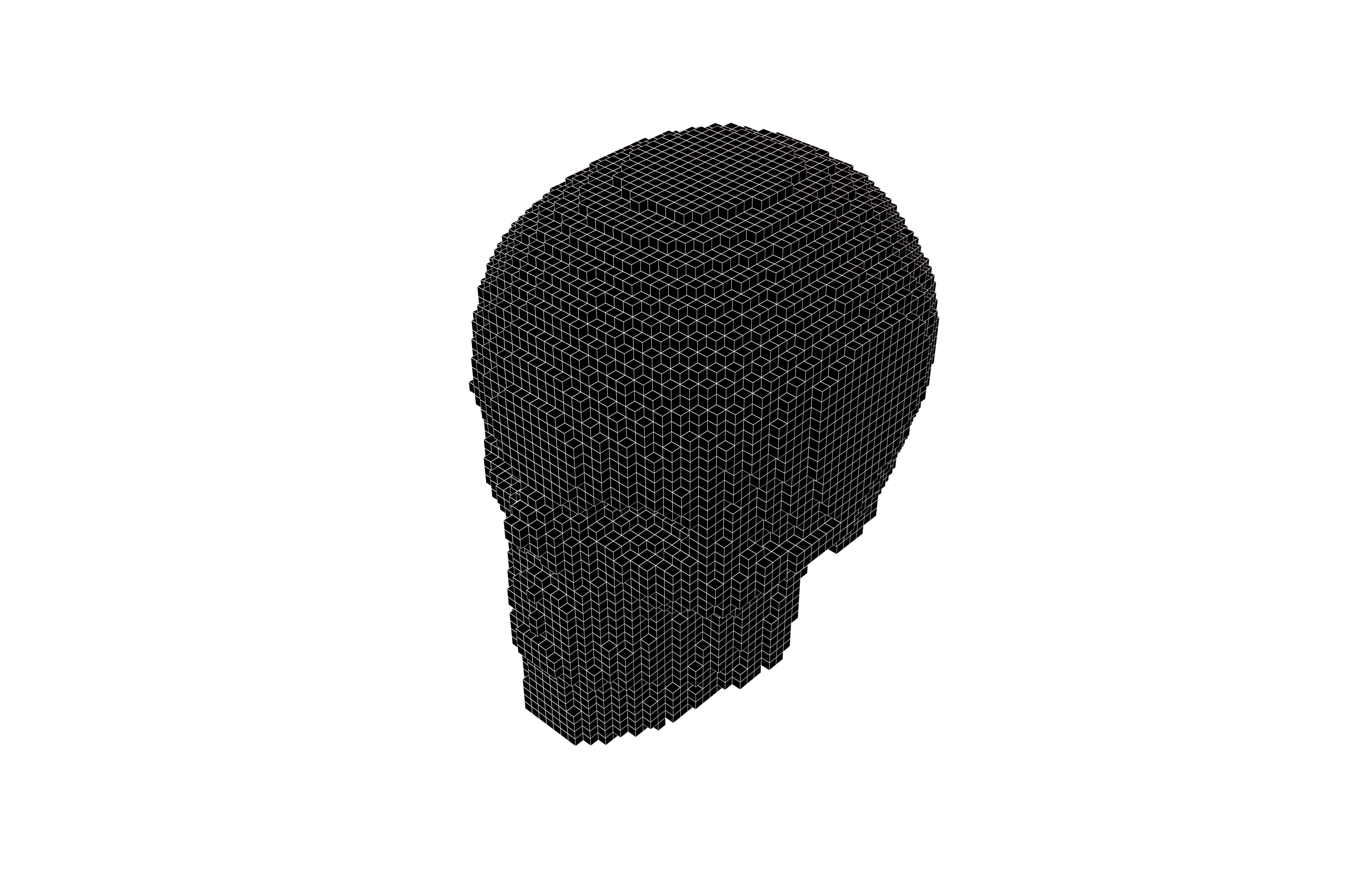 Voxel Skull v1 007 3D model_7