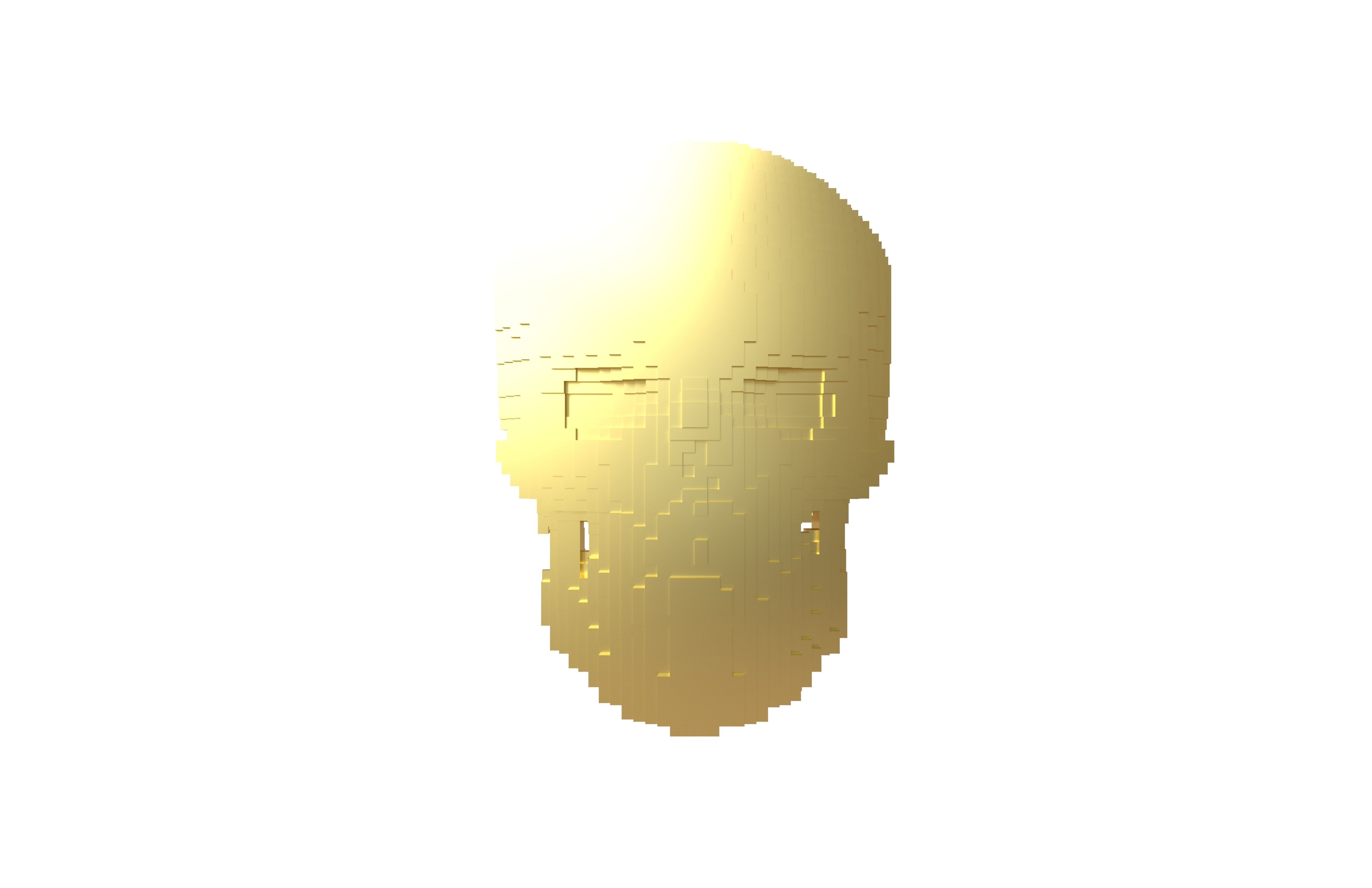 Voxel Skull v1 007 3D model_2