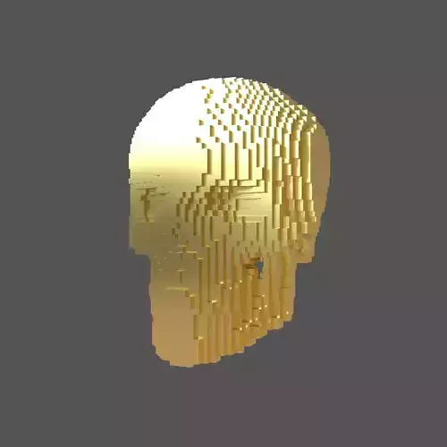 Voxel Skull v1 007