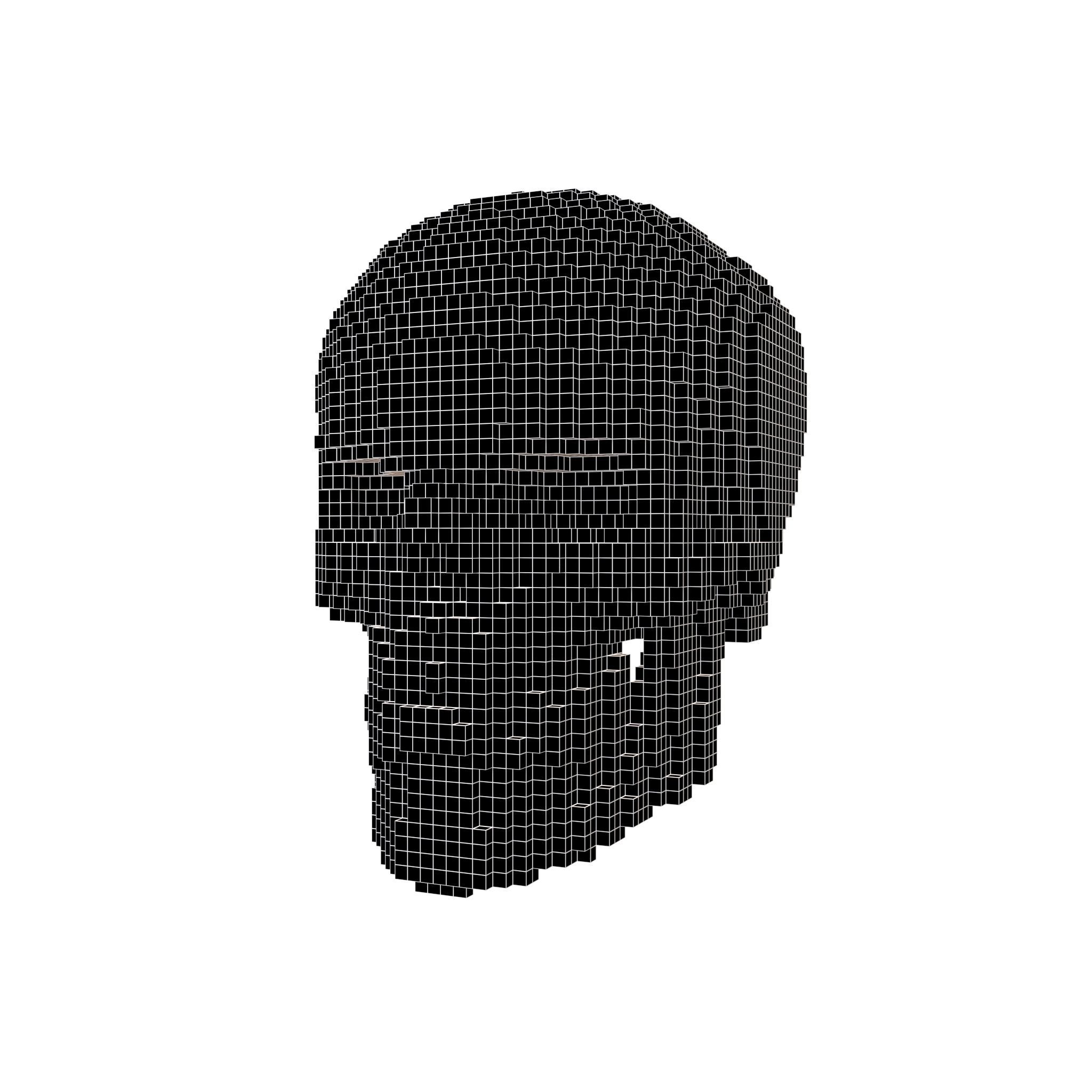 Voxel Skull v1 007 3D model_5